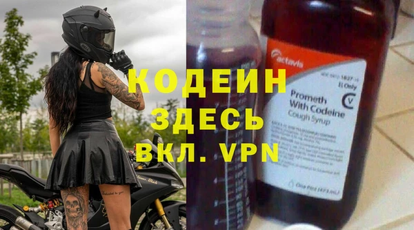 сатива Няндома