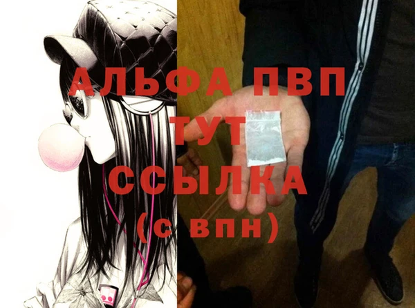 сатива Няндома