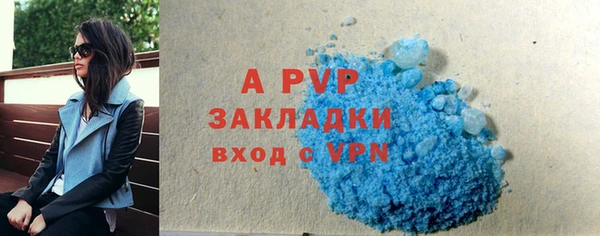 a pvp Новозыбков