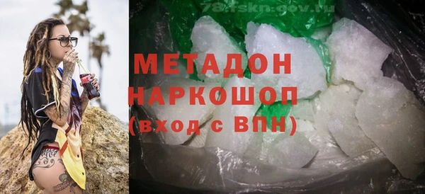 сатива Няндома